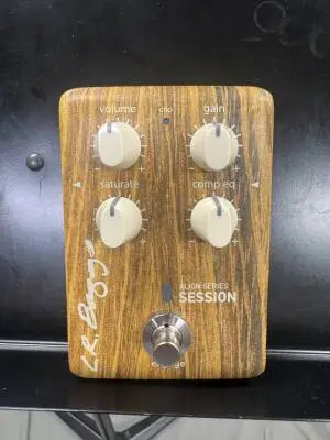 L.R Baggs Align Session